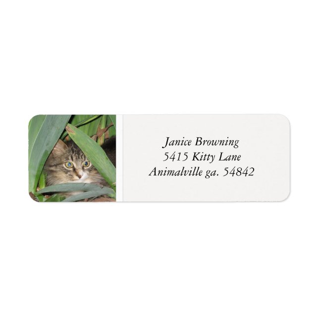 Kitty Cat Address Label (Front)