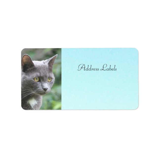 Kitty Cat Address Labels (Front)