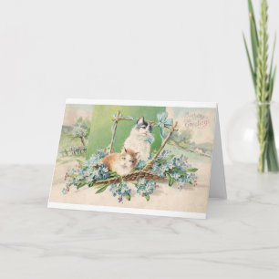 Kitty Cat Birthday Greetings Card