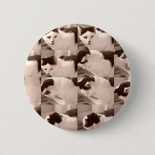 Kitty Cat/Black & White Photo 6 Cm Round Badge
