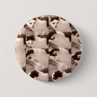 Kitty Cat/Black & White Photo 6 Cm Round Badge