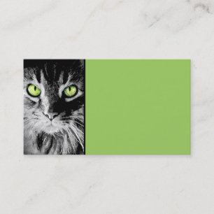 kitty cat business card template photo art