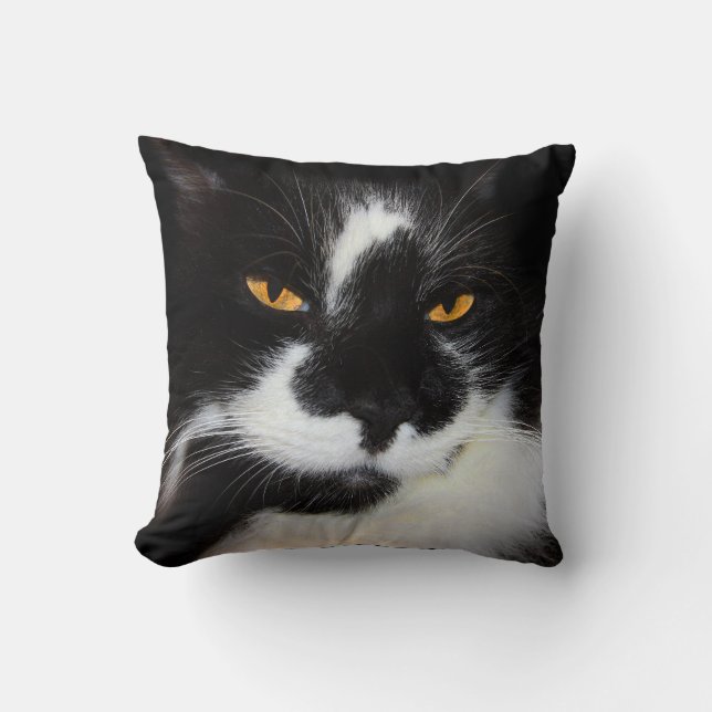 Kitty Cat Cushion (Front)