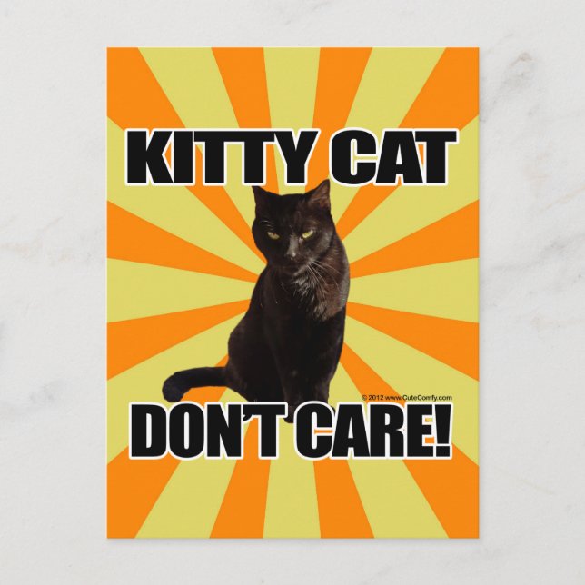Kitty Cat Don't Care Postcard (Front)