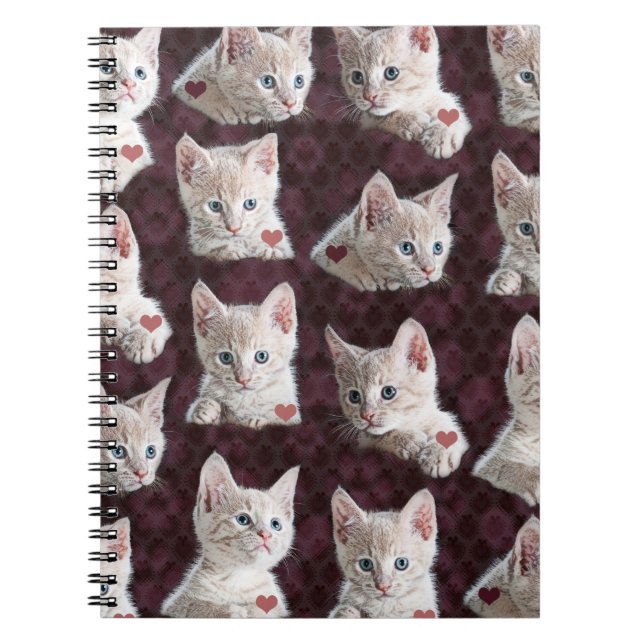 Kitty Cat Faces Pattern With Hearts Image Spiral Notebook (Front)