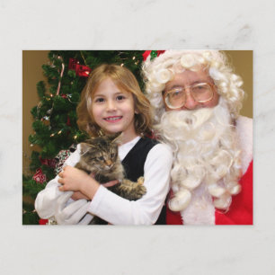 Kitty - Cat - Harmening Postcard