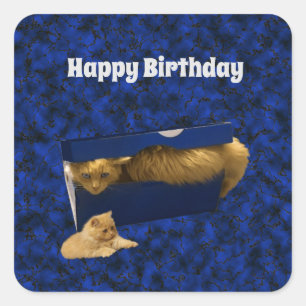 Kitty Cat Hiding In Shoe Box, Birthday Stickers