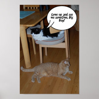 Kitty Cat Humour Poster
