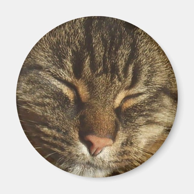 Kitty Cat Magnet (Front)