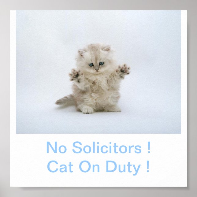 Kitty Cat No Solicitors Sign (Front)