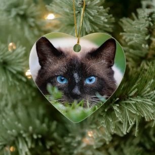 Kitty Cat Pet Memorial with Name and Photo Ceramic Tree Decoration
