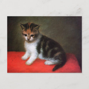 Kitty Cat Postcard: Kitten by George Stubbs Postcard