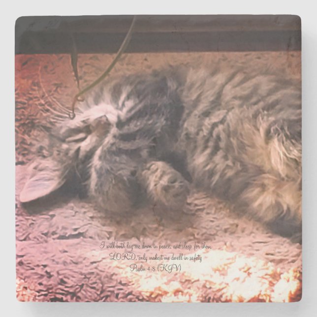 Kitty Cat Psalm 4:8 Stone Coaster (Front)