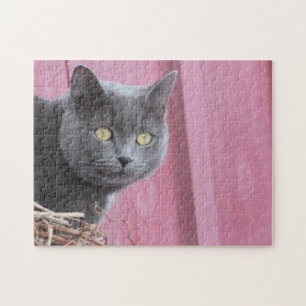 Kitty Cat Puzzle
