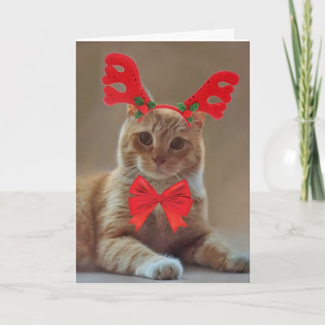 Kitty Cat Reindeer Christmas Holiday Card (Front)