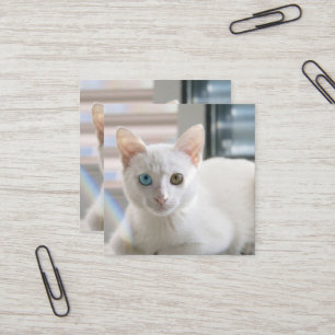 KITTY CAT SQUARE BUSINESS CARD