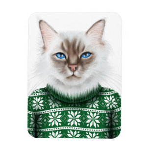 Kitty Cat Sweater Magnet