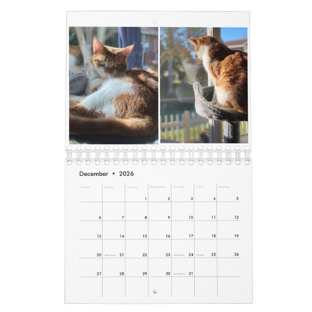 Kitty Cats Calendar (Dec 2026)