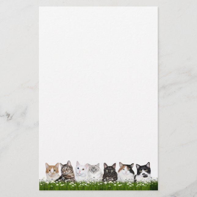 Kitty cats in daisies stationery (Front)