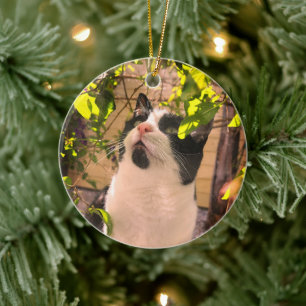Kitty Ceramic Tree Decoration