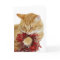 Kitty Christmas card