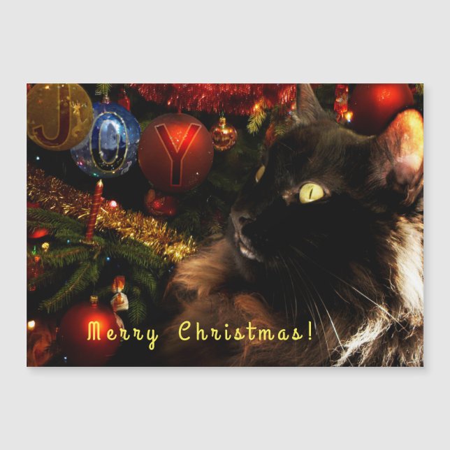 Kitty Christmas Greetings (Front)