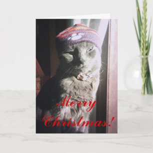 Kitty Christmas Holiday Card