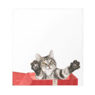 Kitty Christmas hug Notepad