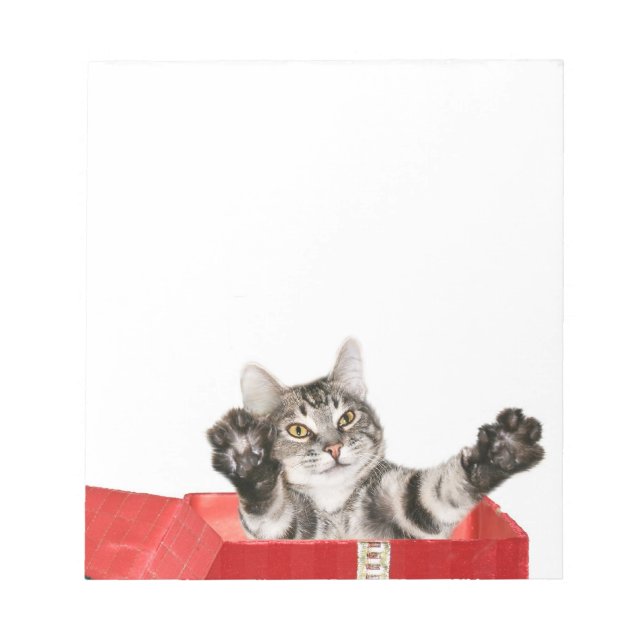 Kitty Christmas hug Notepad (Front)