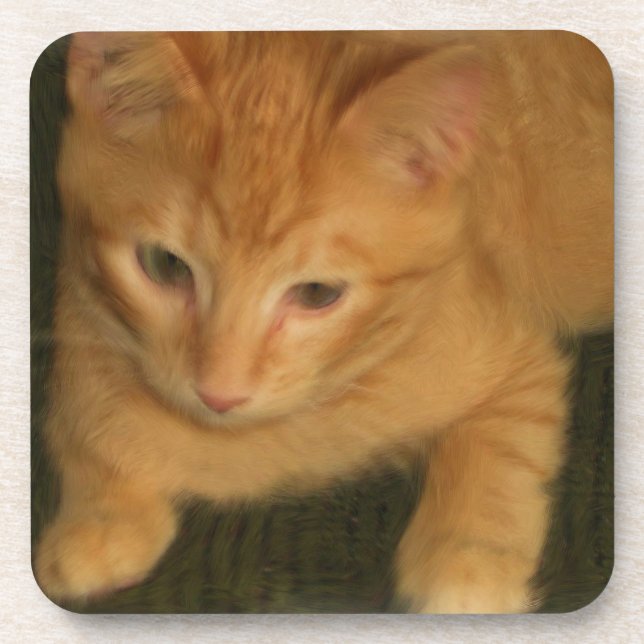 Kitty Coasters - Set of 6 (Front)