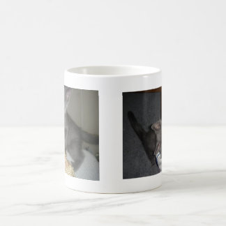 Kitty Coffee Mug