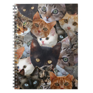 Kitty Collage Spiral Notebook