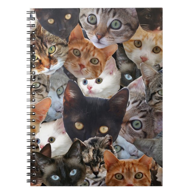 Kitty Collage Spiral Notebook (Front)