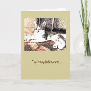 Kitty Condolences Card