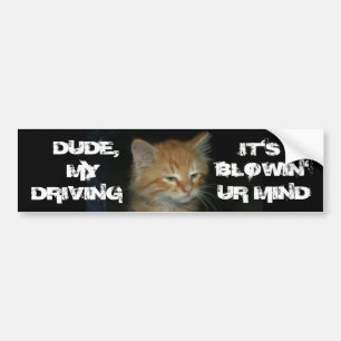 Kitty "DUDE DRIVIN BLOWIN' UR MIND" Bumper Sticker