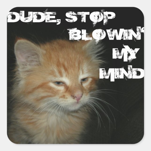Kitty "DUDE STOP BLOWIN' MY MIN" Stickers 20 Set (Front)