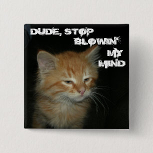 Kitty "DUDE, STOP BLOWIN' MY MIND" Button
