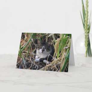 Kitty Encouragement Card