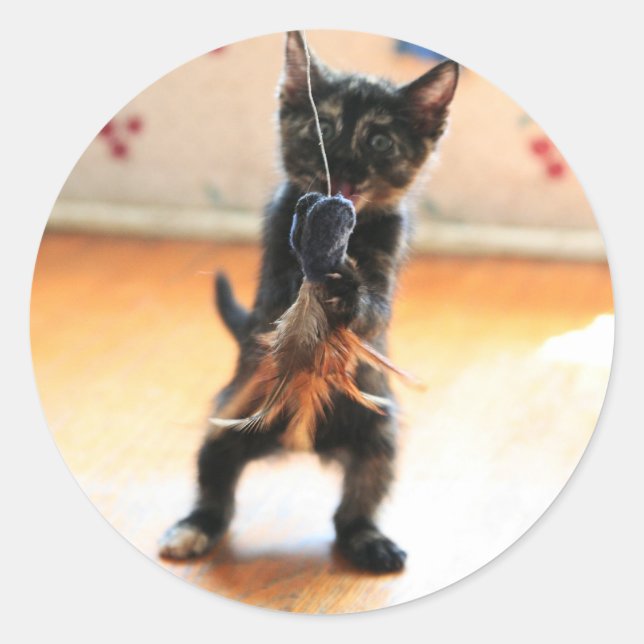 Kitty fly fishing classic round sticker (Front)
