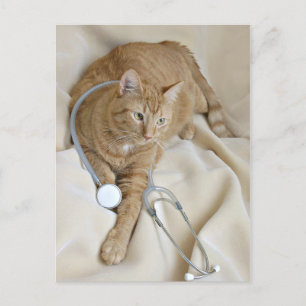 Kitty get well postcard