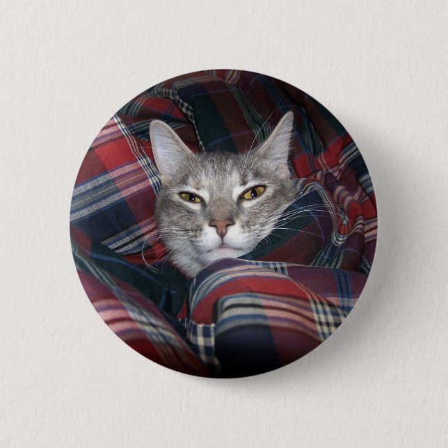 Kitty gets cosy. 6 cm round badge (Front)