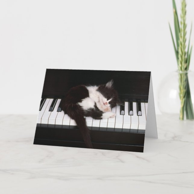 Kitty Greeting Card (Front)