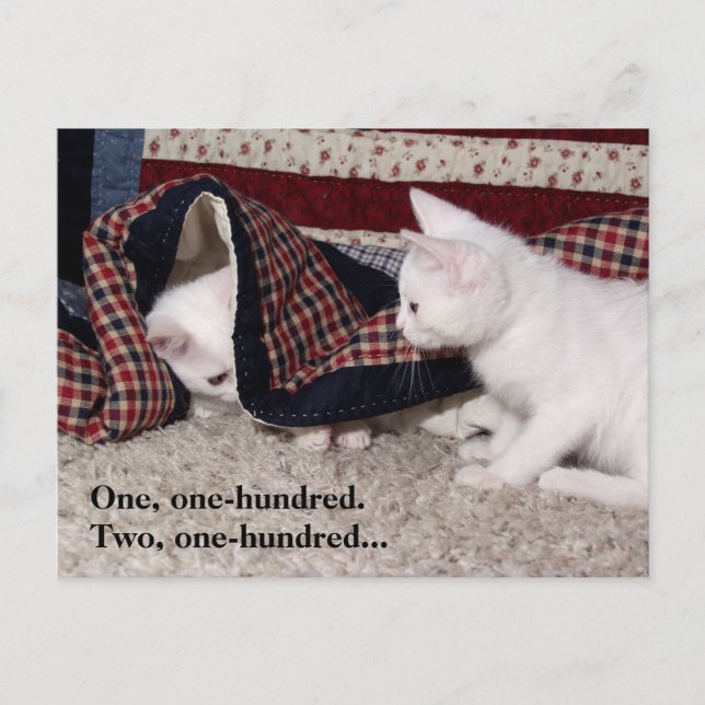 Kitty Hide-And-Seek Humour Post Card (Front)