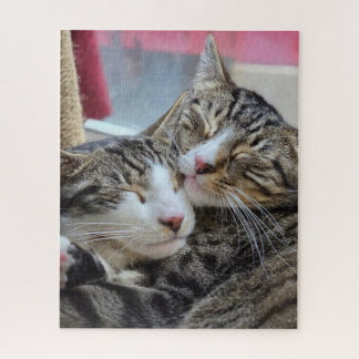 Kitty Hugs! Jigsaw Puzzle