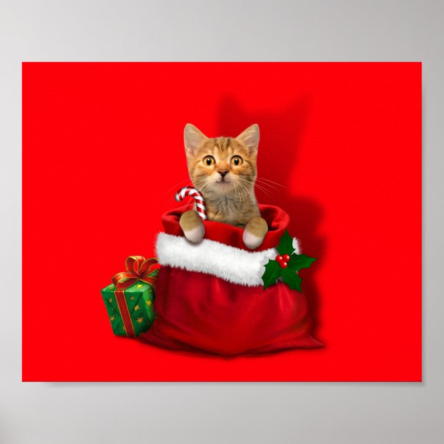 Kitty in a Christmas Bag Poster (Front)