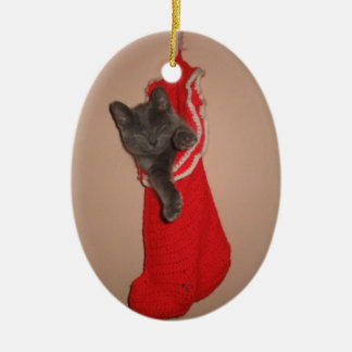 Kitty in a stocking ornament