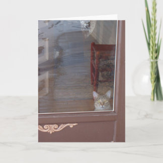 Kitty in the Doorway Card
