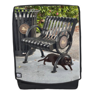 Kitty in The Park Backpack