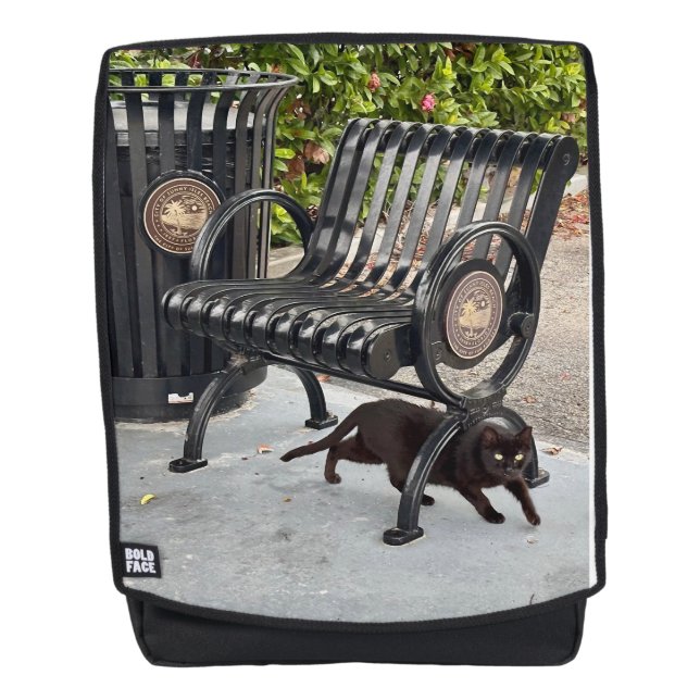 Kitty in The Park Backpack (Front)