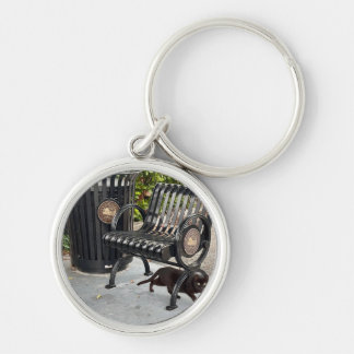 Kitty in The Park Key Ring